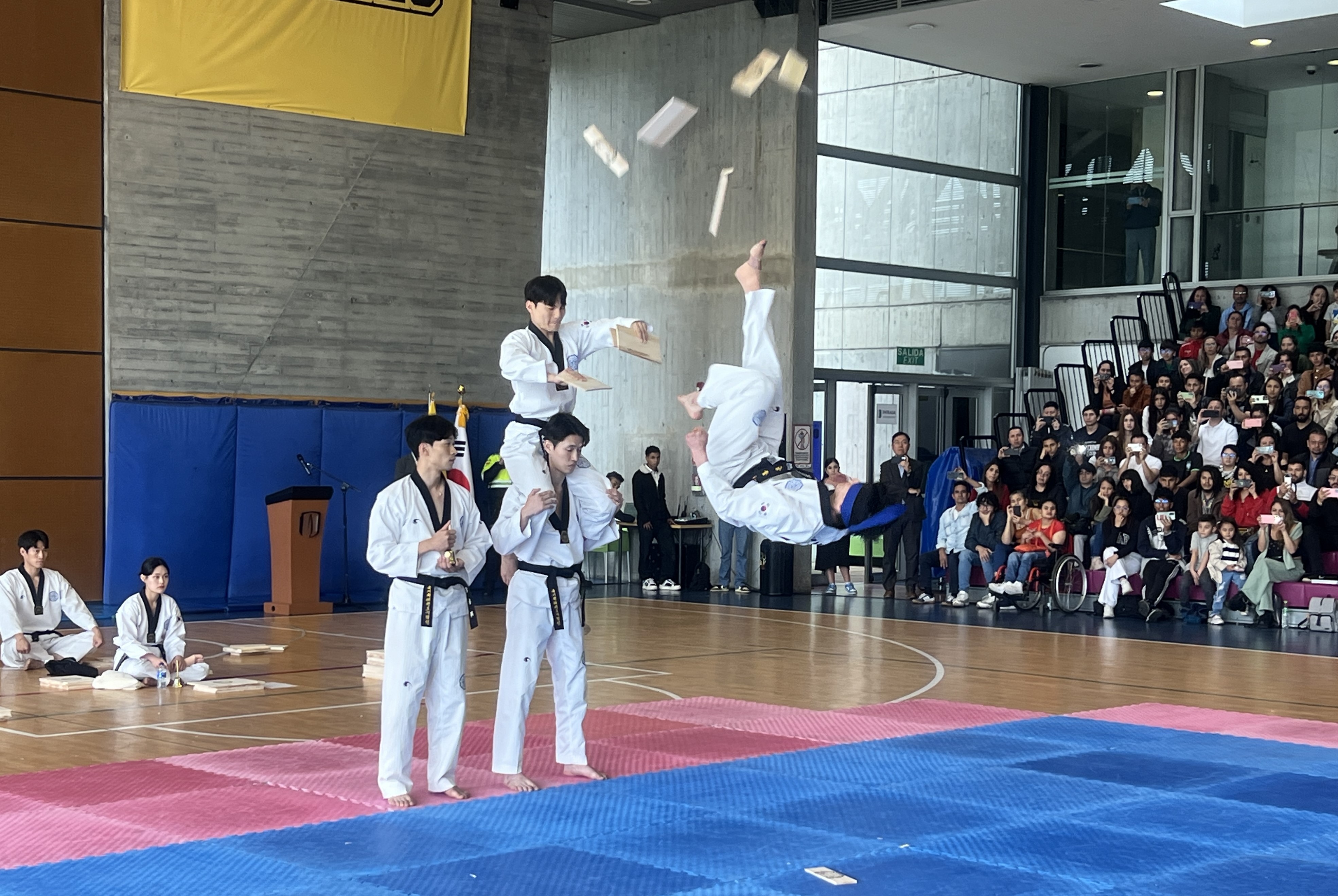 El equipo del Kukkiwon realiza demostraciones de taekwondo en Colombia